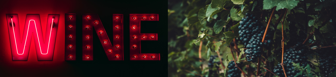 Les coups de coeur de La Pinothèque